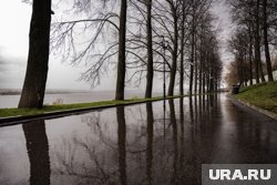 В Пермском крае в выходные ожидаются дожди и прохладная погода