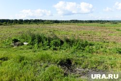 Самый дорогой участок земли под застройку в Кургане резко подешевел. Карта