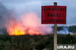 Сроки карантина не уточняются