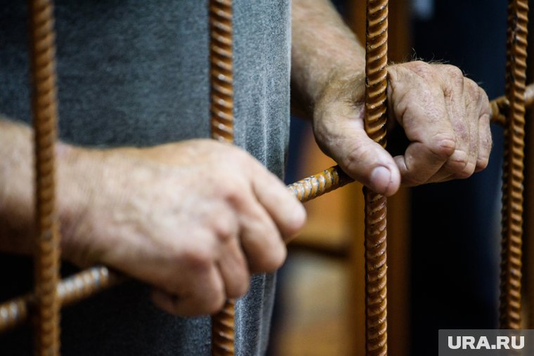 Мужчине дали 10 лет колонии общего режима