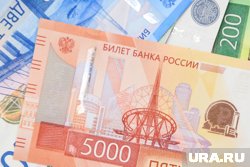 Директор организации Наталья Шабурова в 2023 году зарабатывала более 250 тысяч рублей в месяц