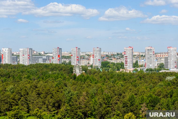 Маршрут пройдет через вековые сосны парка Гагарина 