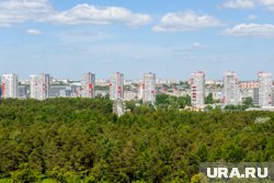 Маршрут пройдет через вековые сосны парка Гагарина 