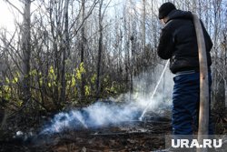 Лес горит недалеко от Муравленко (архивное фото)