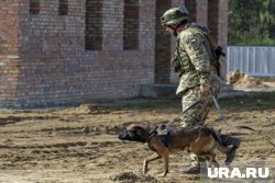 Солдаты строили дом командиру в Хмельницкой области