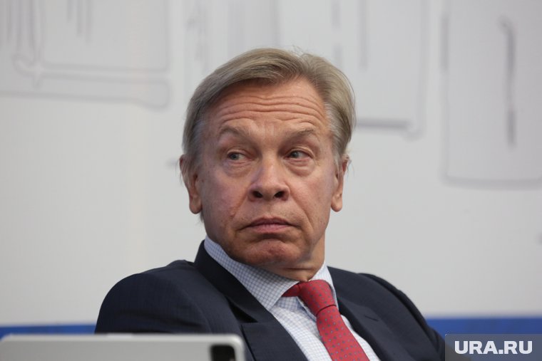 Алексей Пушков провел параллель между современной Германией, где почти половина населения поддерживает запрет АдГ, и нацистской эпохой
