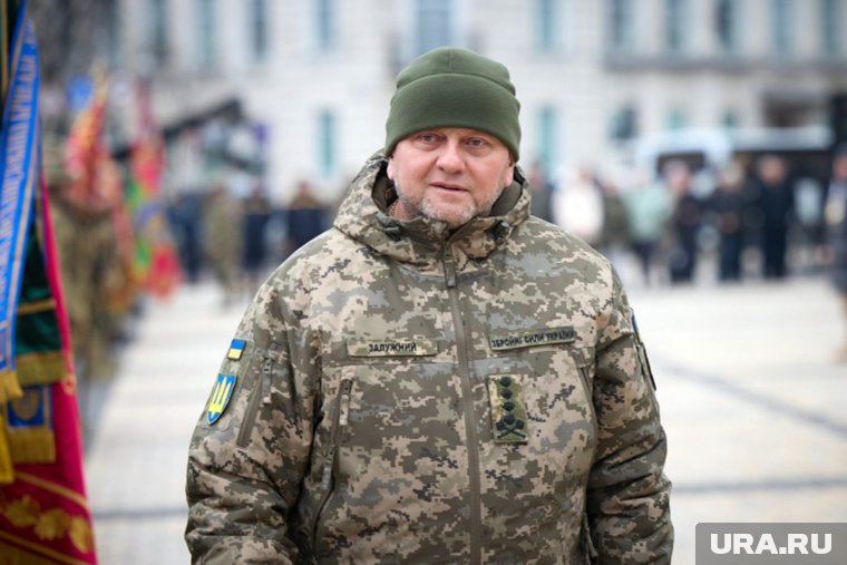 Залужный может стать президентом Украины после перемирия