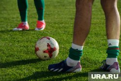 Футболисты из двух соперничающих команд подрались на «Сапсан-Арене» в ходе 13-го тура лиги