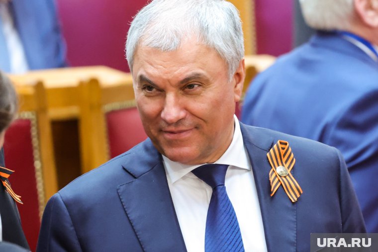 Законопроект Володин пообещал рассмотреть в приоритетном порядке