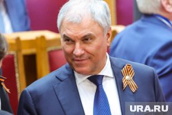 Законопроект Володин пообещал рассмотреть в приоритетном порядке