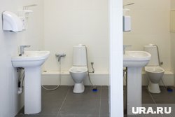 Унитазы не поставят в цирке из-за норм СанПиНа