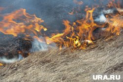 В результате атаки БПЛА в Ростовской области загорелась трава (архивное фото)