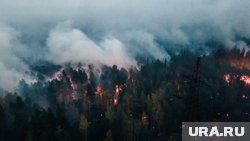 Площадь возгораний продолжает расти вторые сутки
