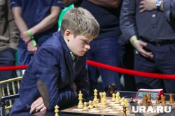 Володар Мурзин стал чемпионом мира по шахматам в декабре 2024 года