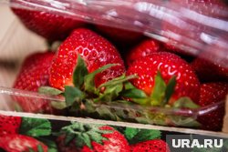 Цена на ягоды доходит до 2 500 рублей