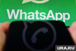 Торговля алкоголем осуществлялась через чаты в WhatsApp* 