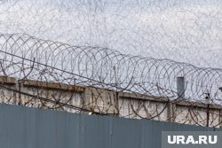 Директор центра получил два с половиной года колонии