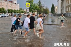 Курганцев ждет дождливая неделя