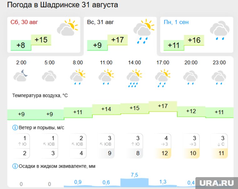 Прогноз погоды по часам на День города Шадринска