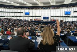 Совет Евросоюза одобрил передачу Украине доходов от замороженных активов России
