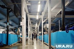 В июне на Тобольском рыбзаводе откроется дегустационная площадка