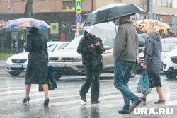 В течение ближайших суток в регионе будет дождливо
