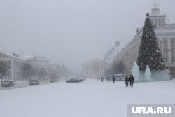 В преддверии Нового года ямальцев ждут снегопады, ветра и метели