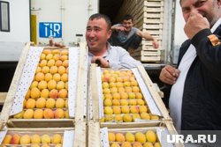Большую часть косточковых Россия импортирует, поэтому заморозки не приведут к их нехватке