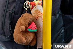 Детям положен бесплатный проезд с 1 сентября, но нужно предъявить ЕКАРТу