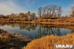 Ясная погода будет днем в Кургане и Шадринске