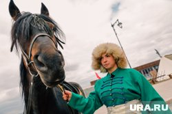 Лошади станут участниками театрального представления (архивное фото)