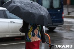 На регион обрушится северный ветер с порывами до 20 м/с
