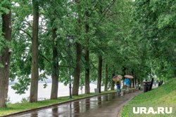 За два дня выпадет свыше 23 мм осадков