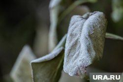 3 и 4 сентября ночью ожидается похолодание в отдельных районах