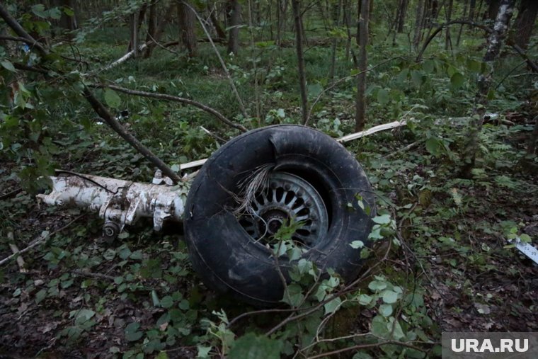 В Подмосковье разбился легкомоторный самолет с четырьмя пассажирами на борту (архивное фото)