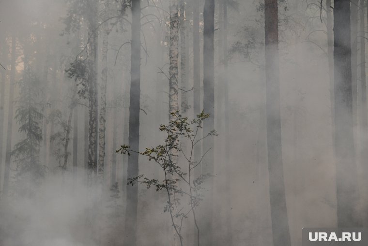 На 13 июля в округе горит 24 гектара леса