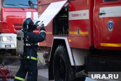 В Пешнигорте сотрудники МЧС предотвратили распространение пожара (архивное фото)