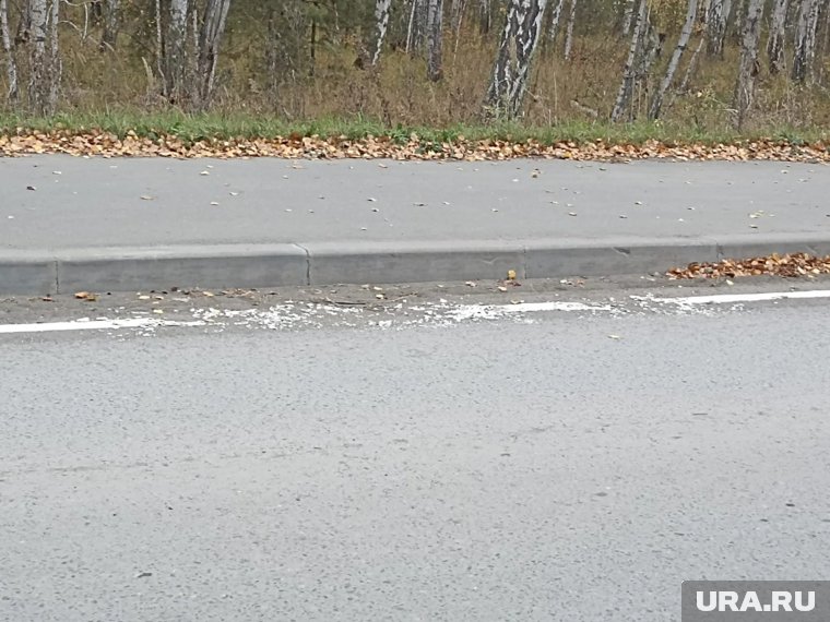 В коттеджном поселке под Курганом проложили разметку поверх грязи и мусора