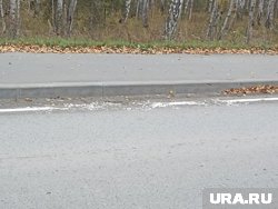 В коттеджном поселке под Курганом проложили разметку поверх грязи и мусора