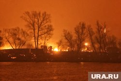 Огненная стихия охватила свыше 80 тысяч га леса