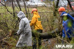 Глава Пуровского района Трапезников помогает прибраться в Тарко-Сале (фото из архива)