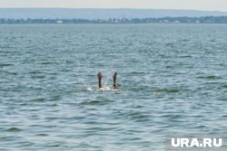 В ЯНАО летом 2025 года утонуло четыре человека