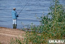 В Подмосковье можно ловить рыбу с июня