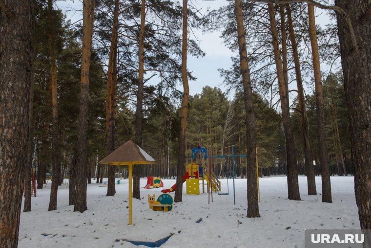 В Плехановском бору часто собираются трудовые коллективы/, еще чаще сюда приезжают с семьями и детьми