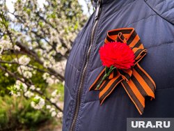 Полиция в Латвии возбуждает дела за празднование Дня Победы