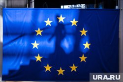 Европейские политики, поддерживающие Киев, идиоты, заявил ученый
