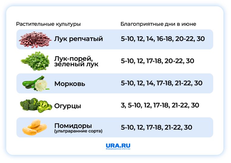 Список благоприятных дней для посадки лука, моркови, огурцов и помидоров