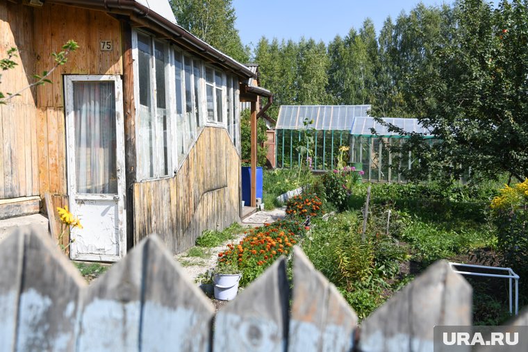 В Екатеринбурге действуют 662 СНТ