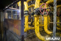 Словакия не хочет отказываться от российской энергии
