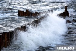 Евгений Чижов утонул в Балтийском море. Ему было 58 лет